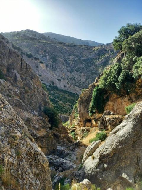 Cave Holidays Andalucia Los Carriones Exteriér fotografie